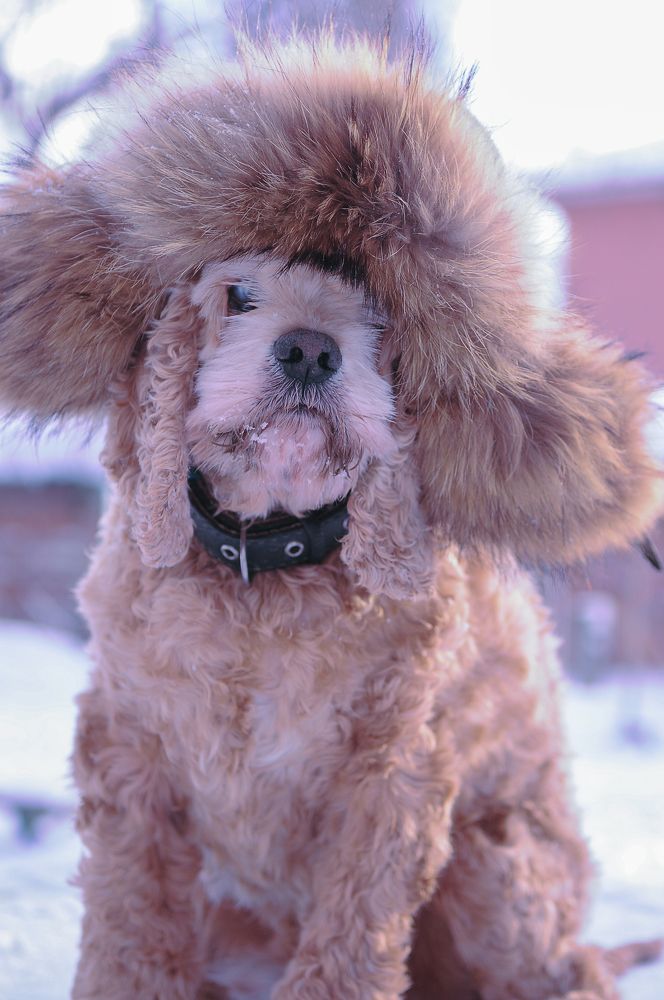 Photograph by Елена Леонидовна