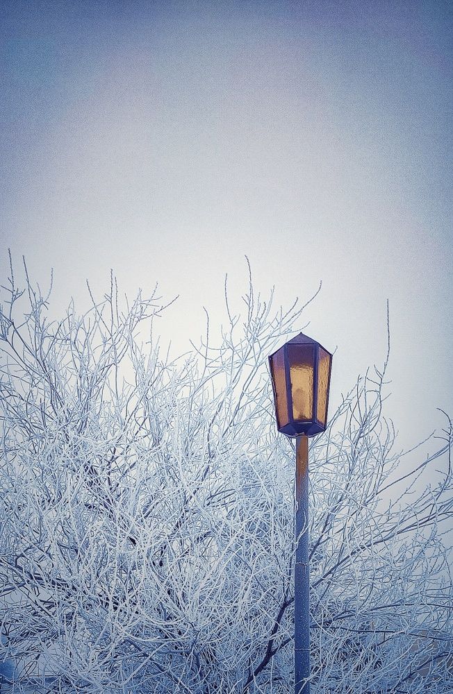 Фотография автора Анастасия Мамаева