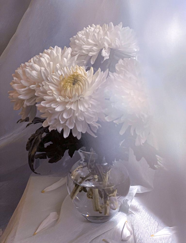 Photograph by Дарья Гурьева