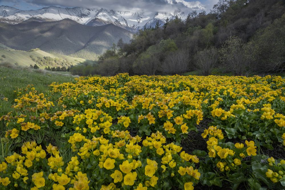 Photograph by Гусева Елена