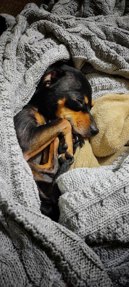 Photograph by Tata Rau