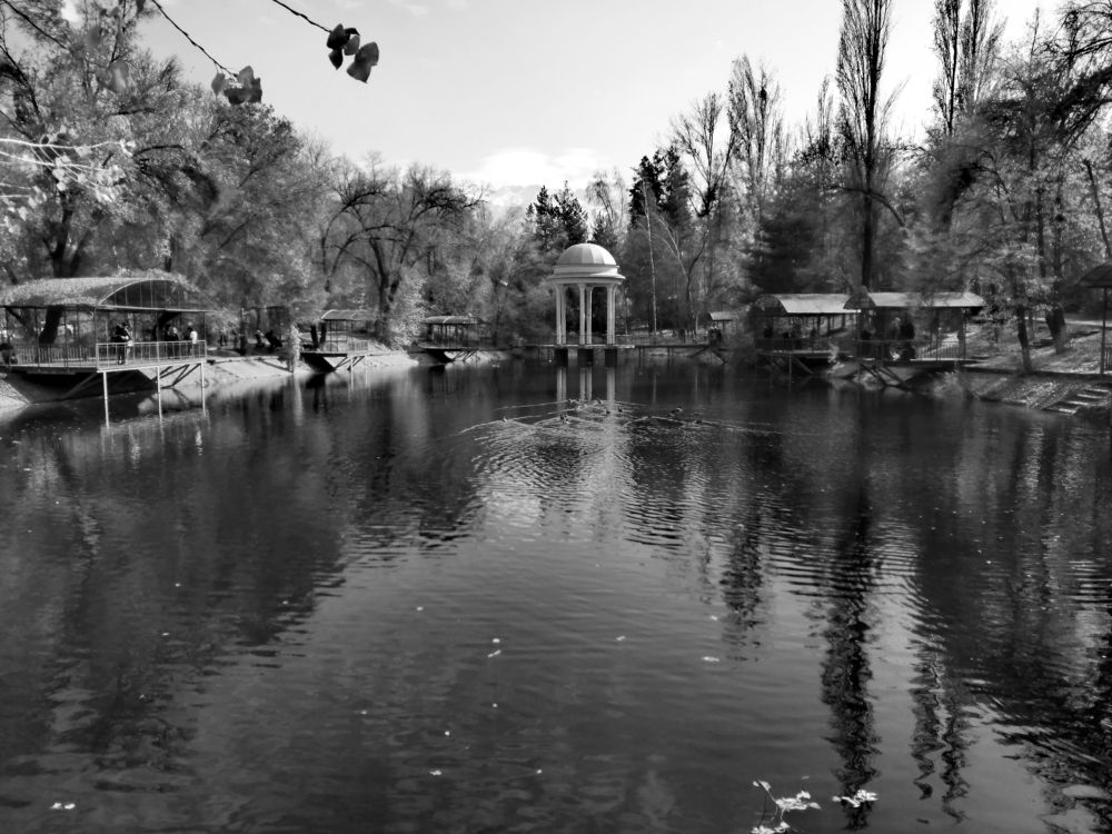 Фотография автора Виталий