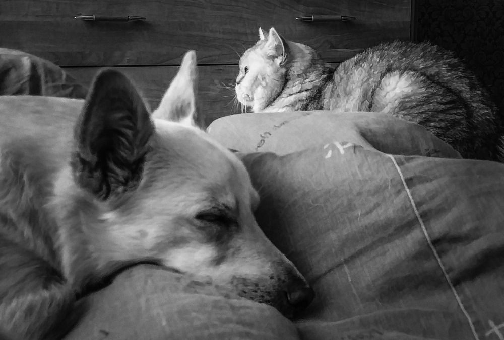 Photograph by Aleksandr Barsukov