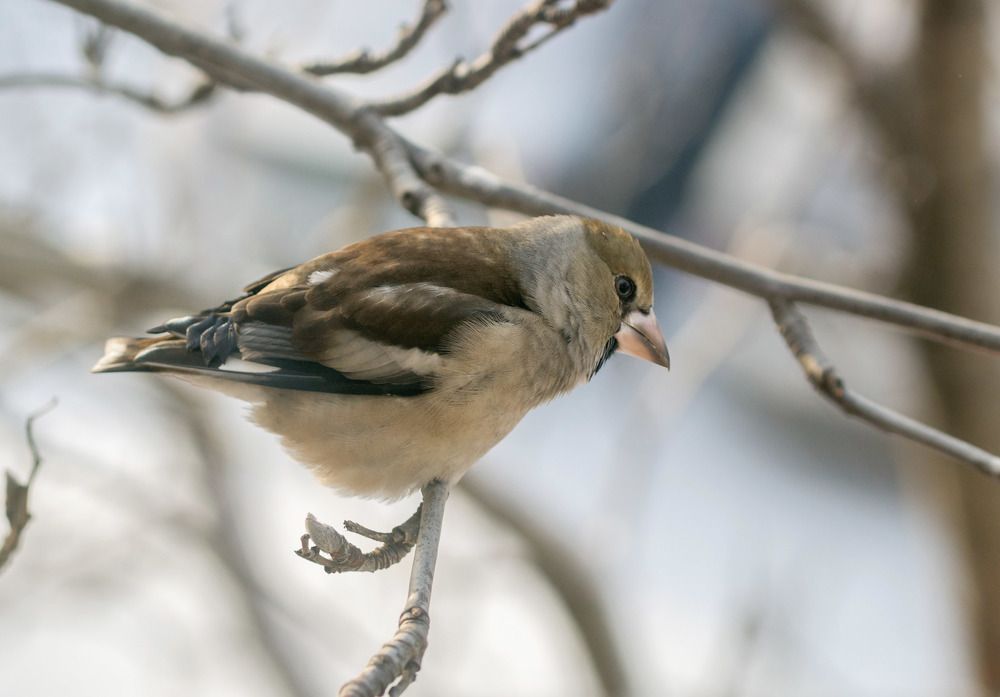 Photograph by Виктор Петров