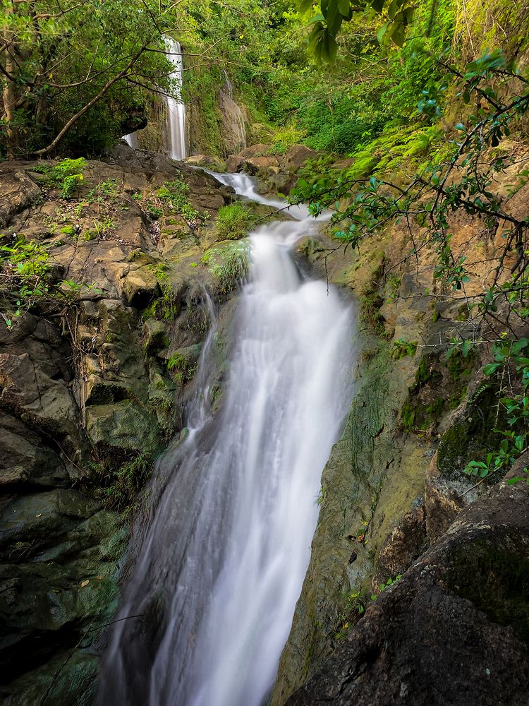 Photograph by Harsha Bandara