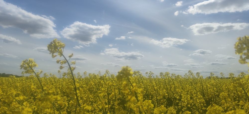 Photograph by Dmytro Tur