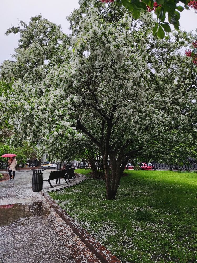 Фотография автора Мария Капатурина