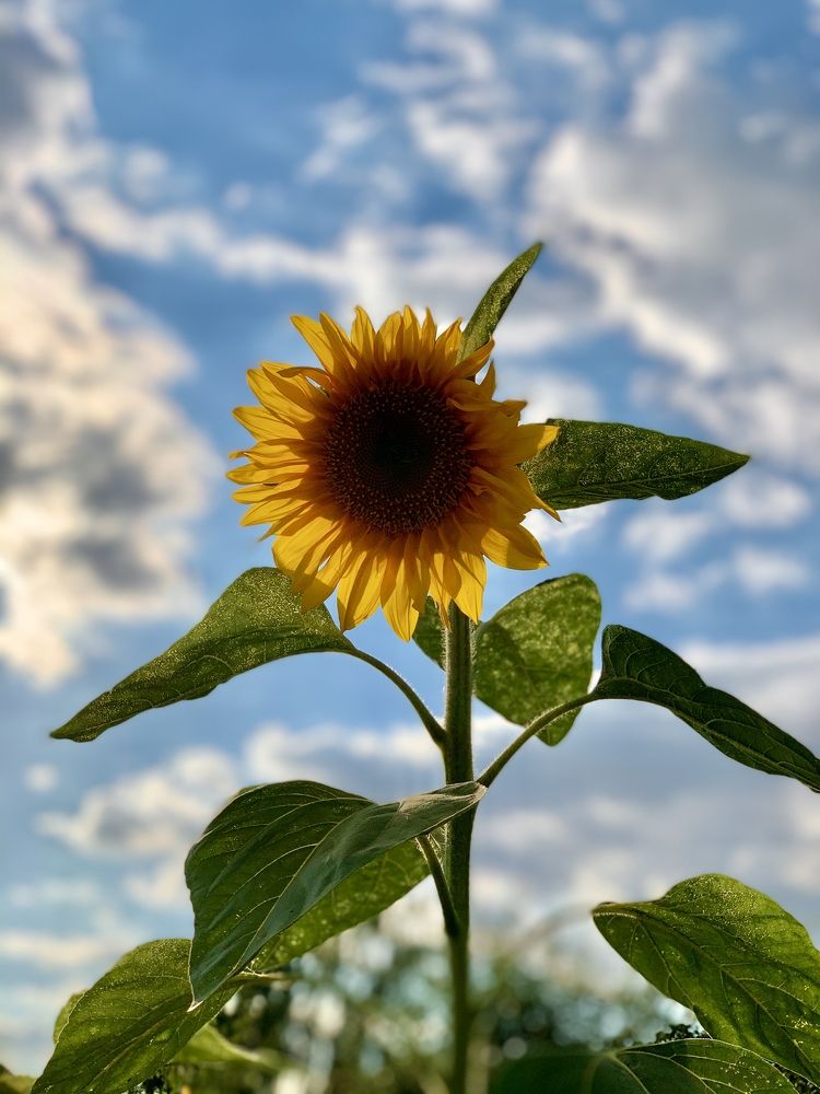 Photograph by Дарья Самойленко