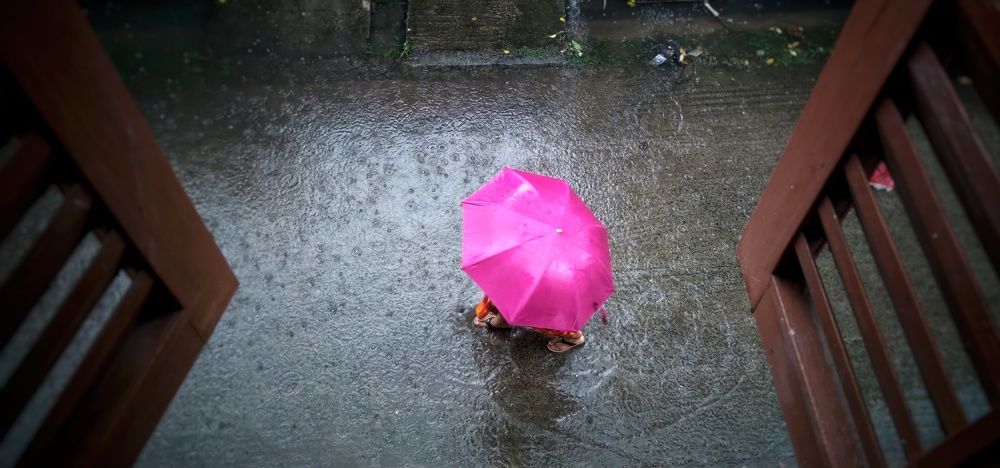 Фотография автора Sayantan Chakraborty