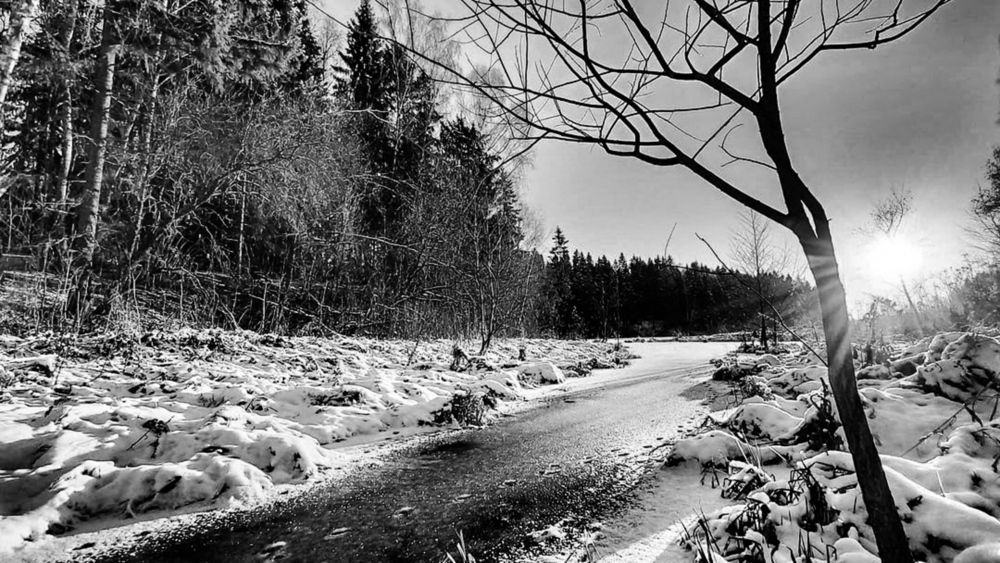 Фотография автора Екатерина Пилюгина