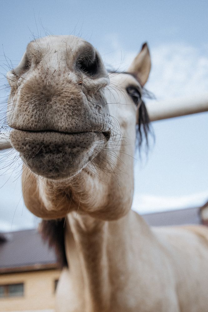 Photograph by Сергей Суслов