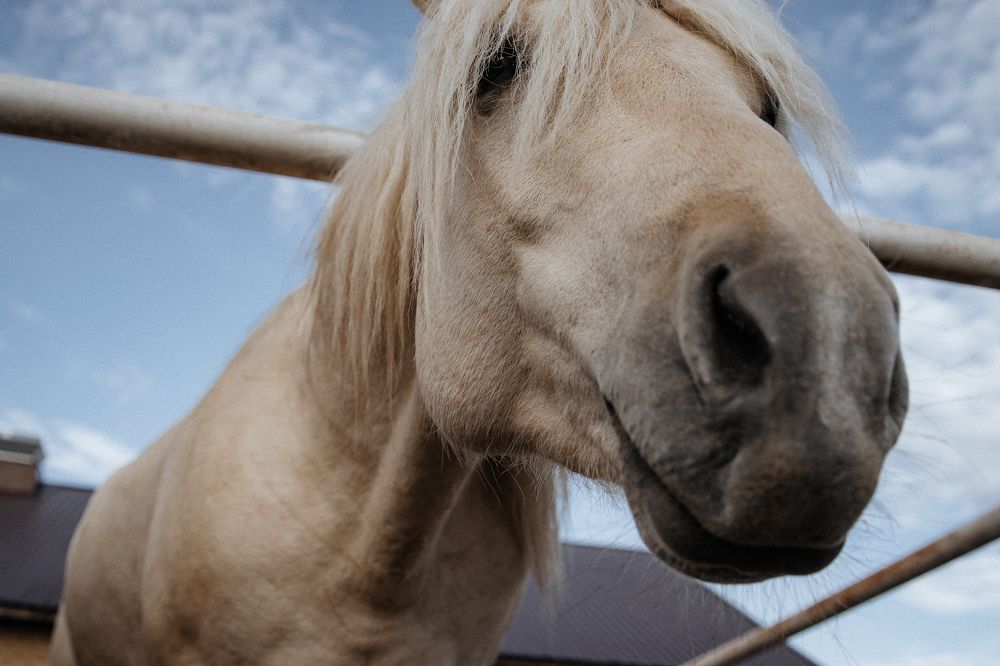 Photograph by Сергей Суслов