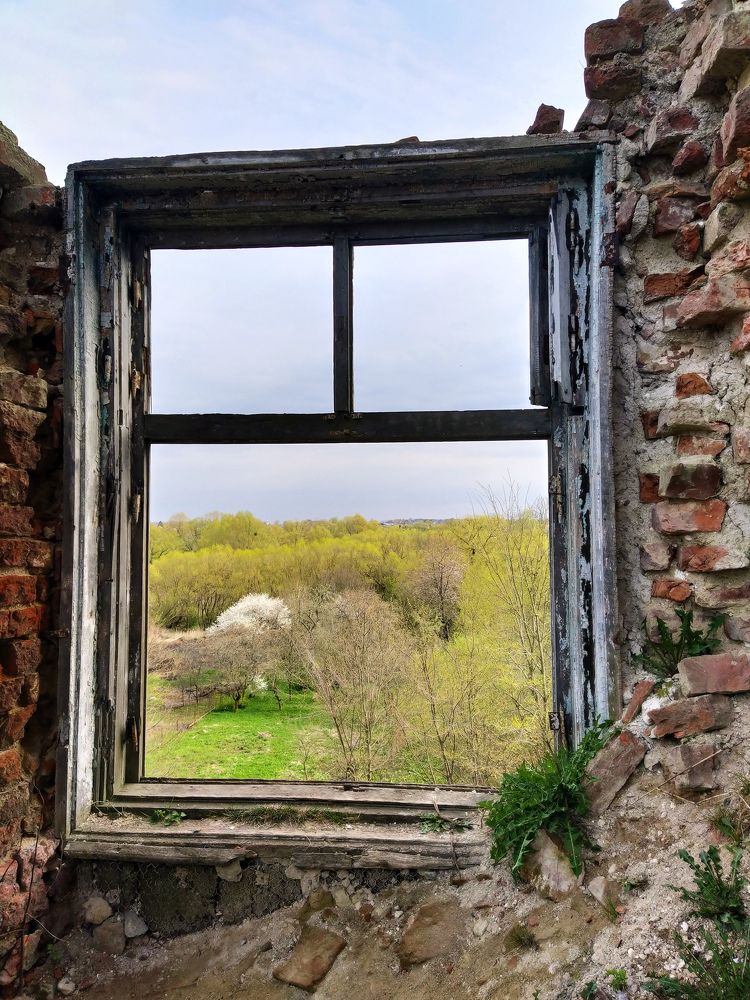 Photograph by Ольга Стоун