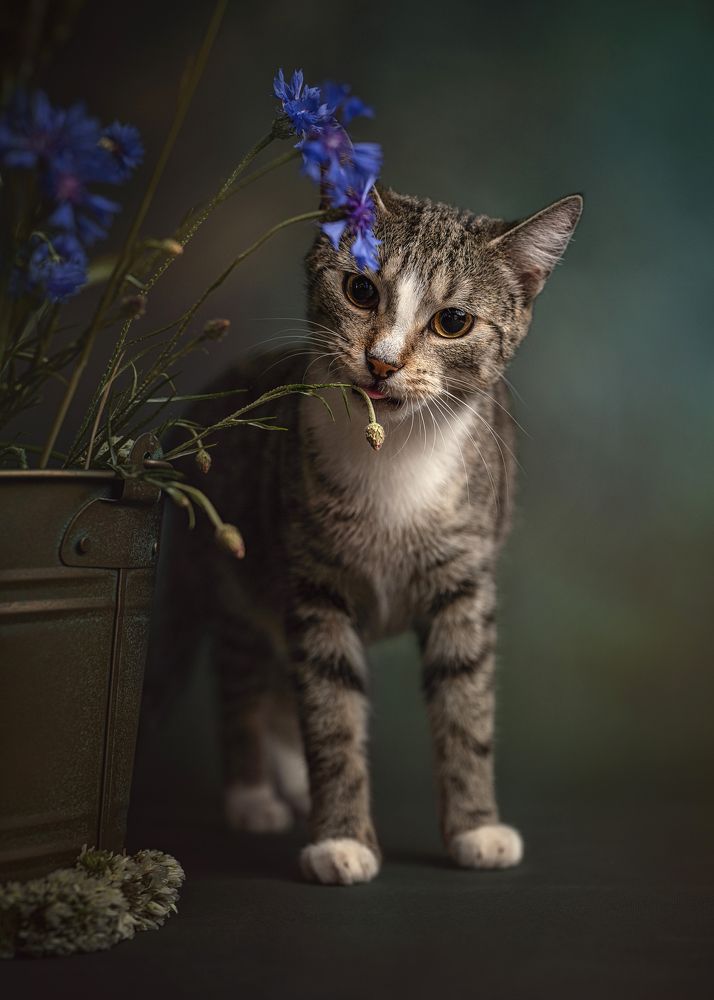 Photograph by Kasia Kapała