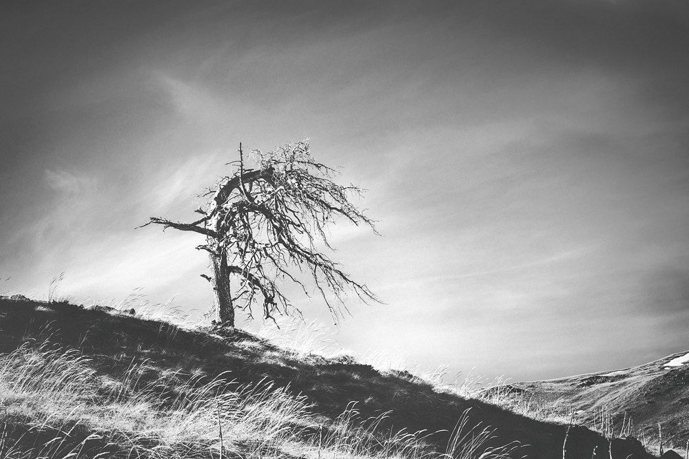 Photograph by Олег Раевский