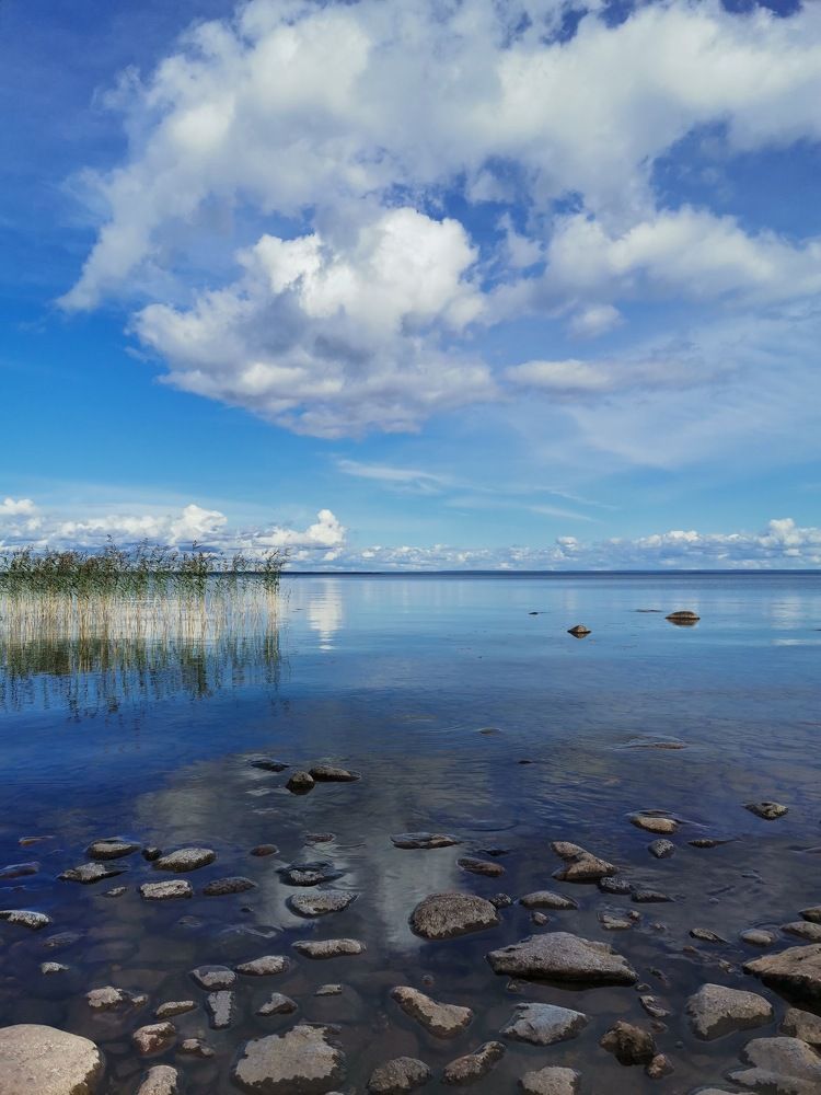 Photograph by Николаева Оксана