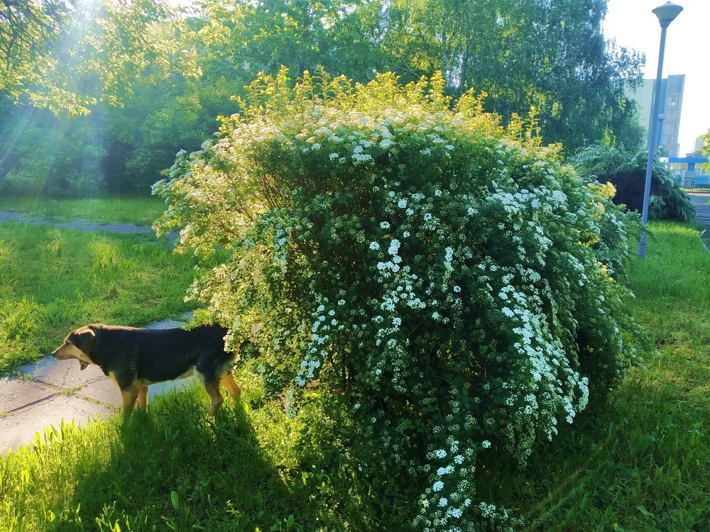 Доброе утро!