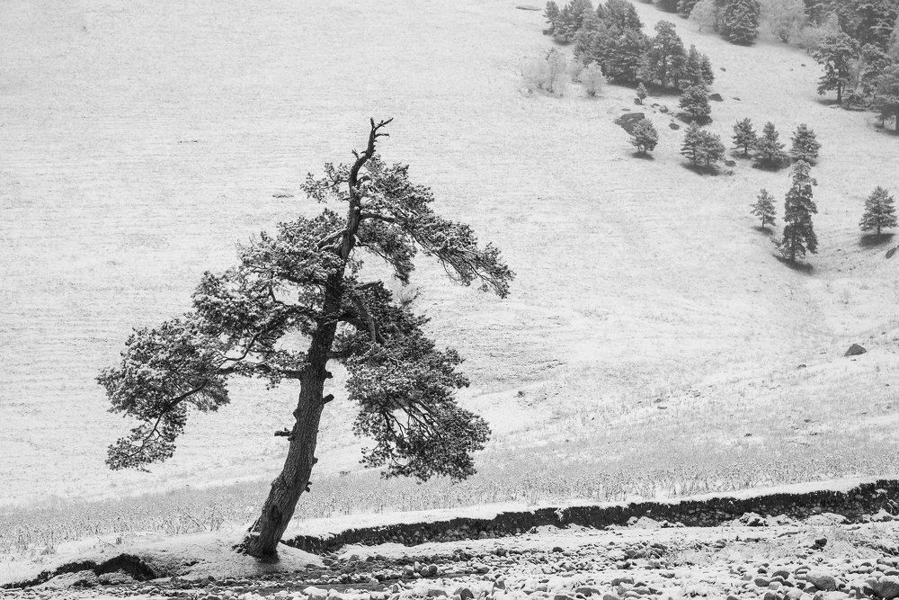 Photograph by Олег Раевский