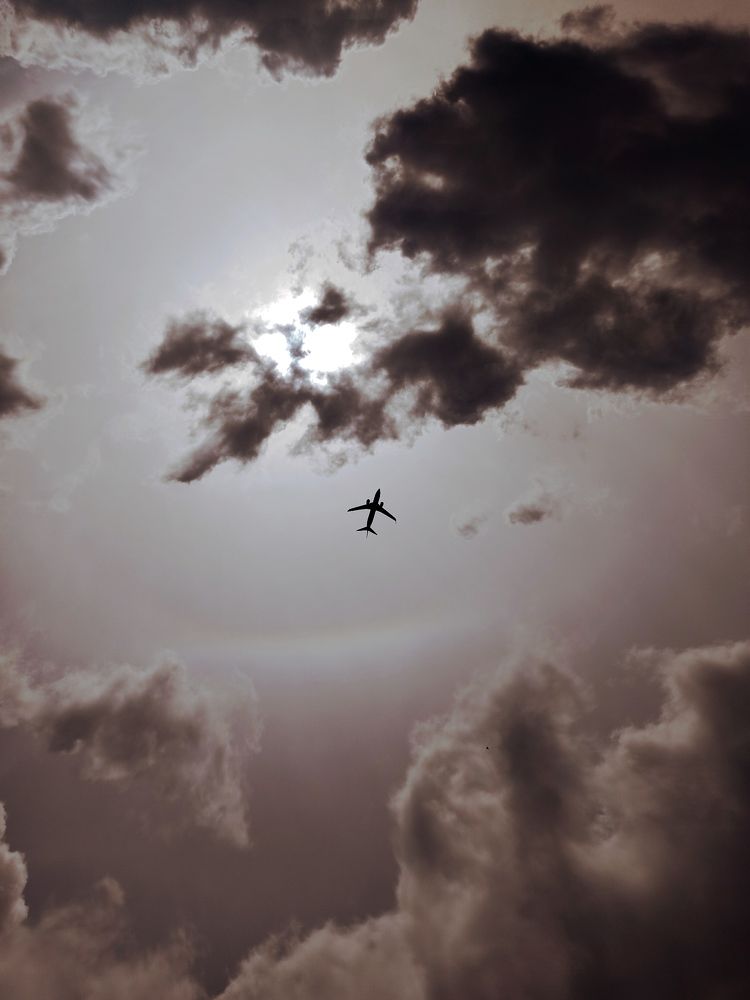 Photograph by Светлана Барабанова