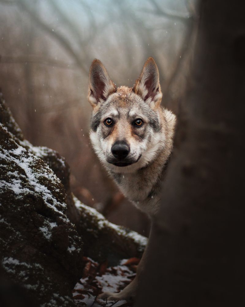 Photograph by Dorota Hnatová