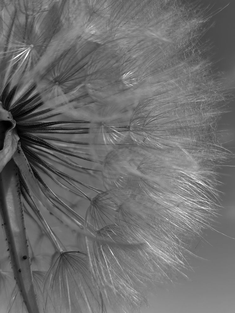 Photograph by Katsiaryna