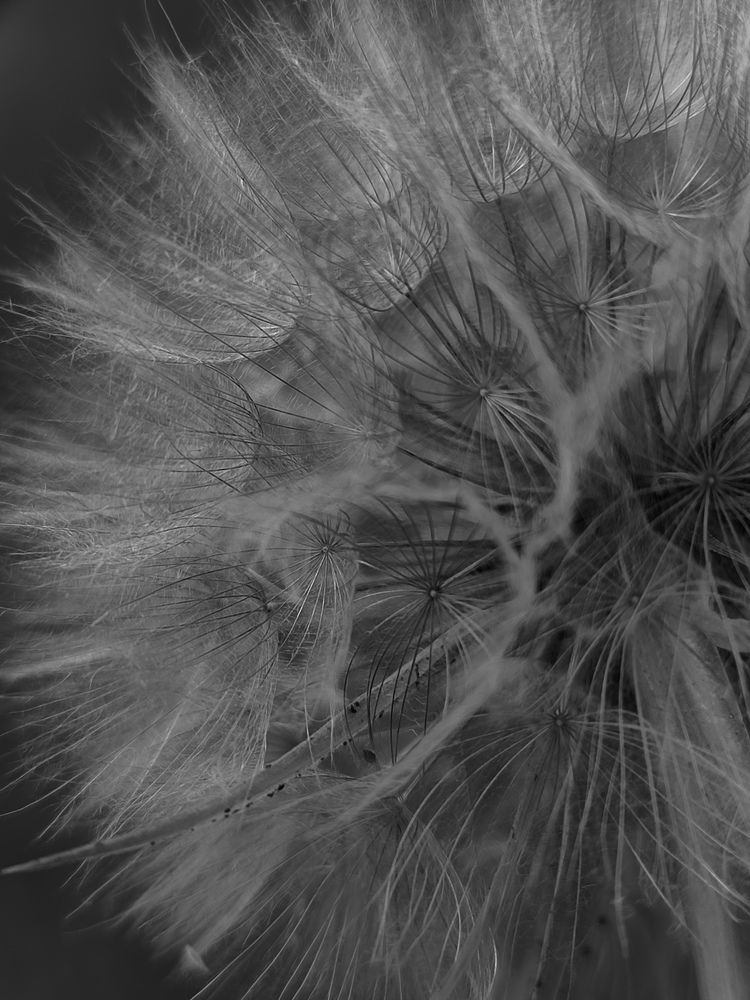 Photograph by Katsiaryna