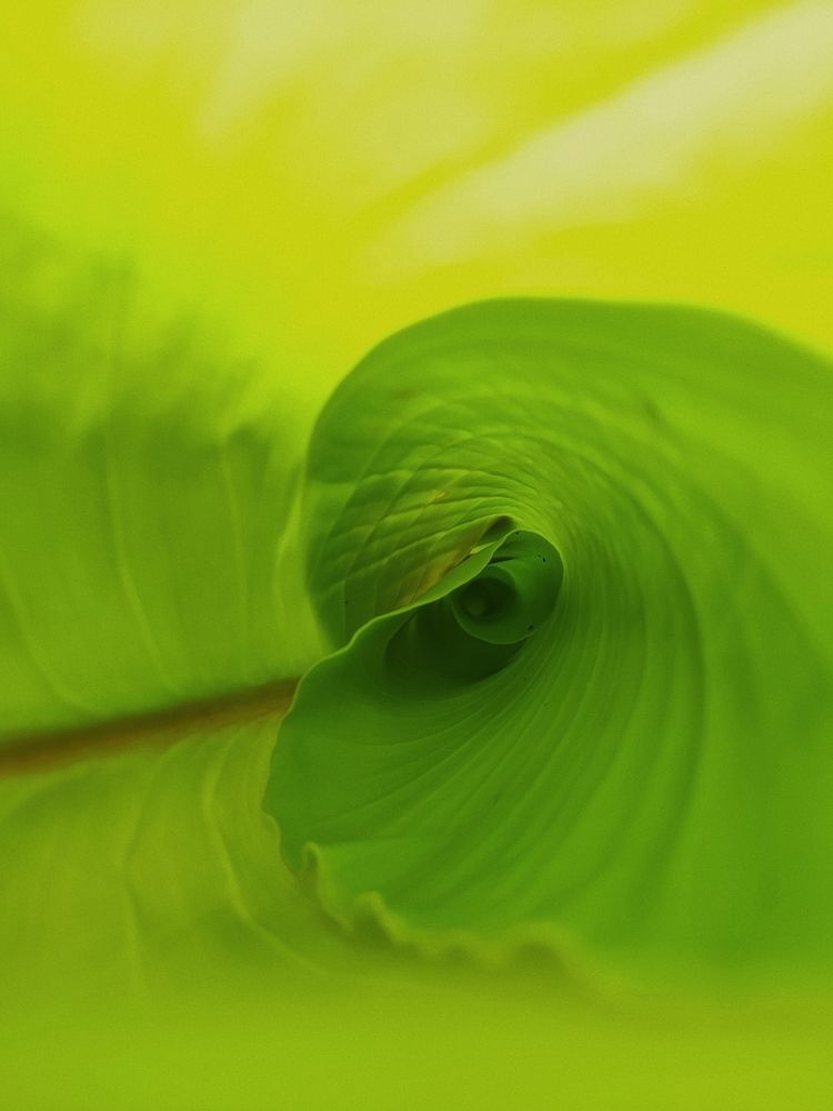 Photograph by Виктория Кнышова