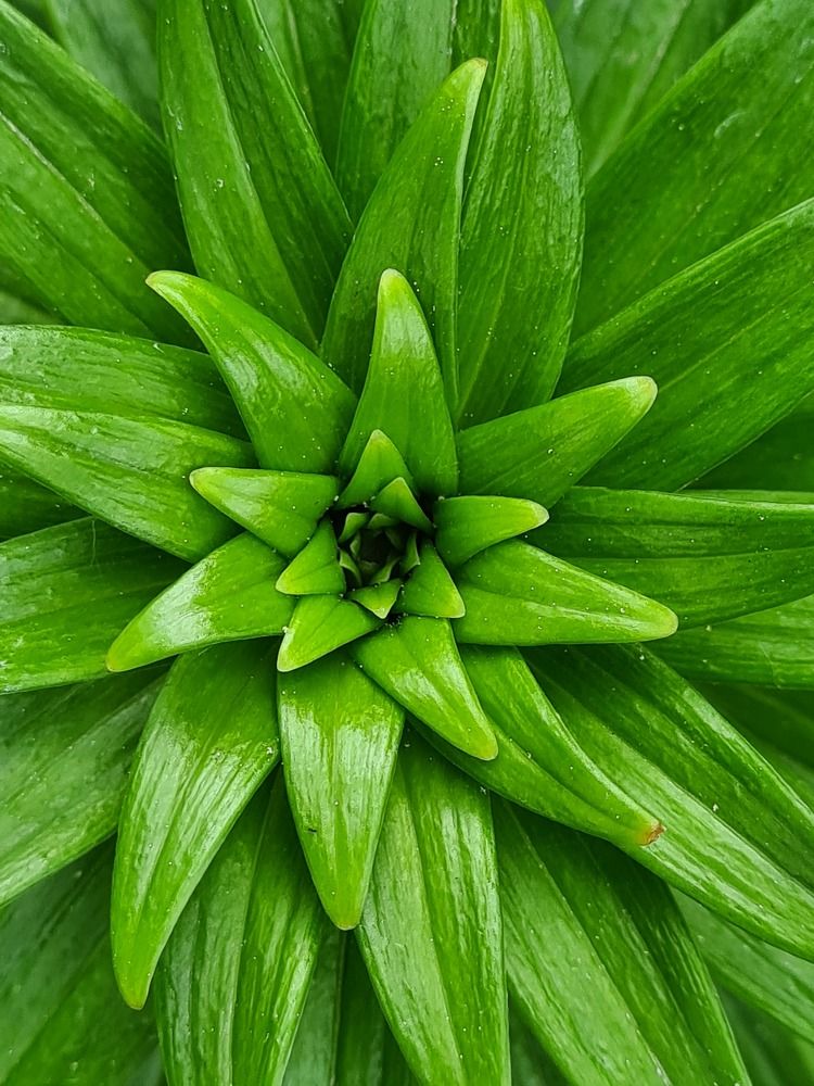 Photograph by Андрей Телибаев