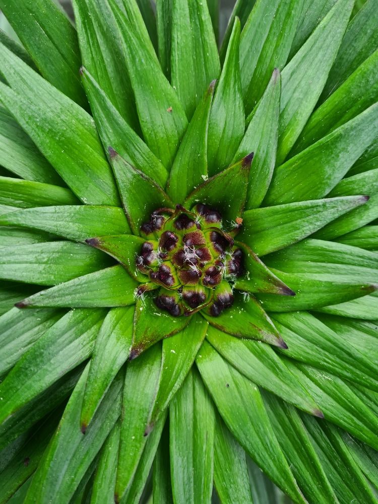 Photograph by Андрей Телибаев