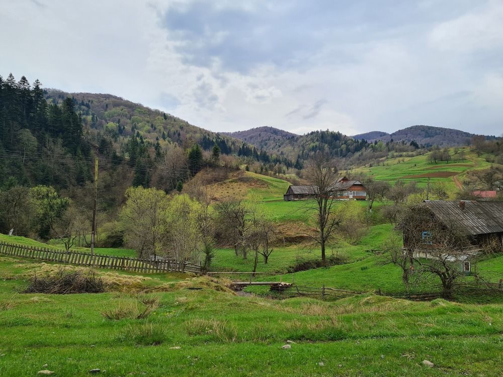 Photograph by Андрей Телибаев