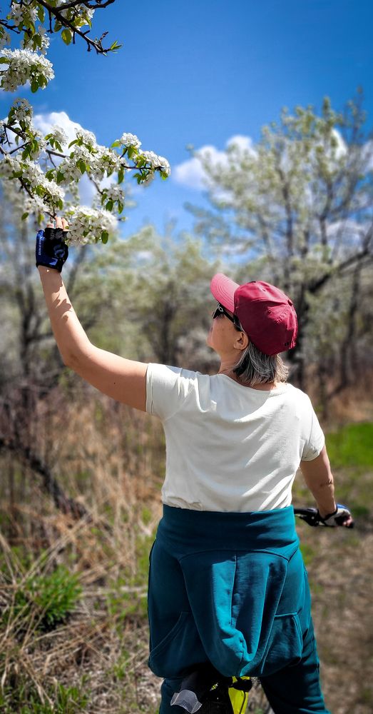 Photograph by Прохоров Денис