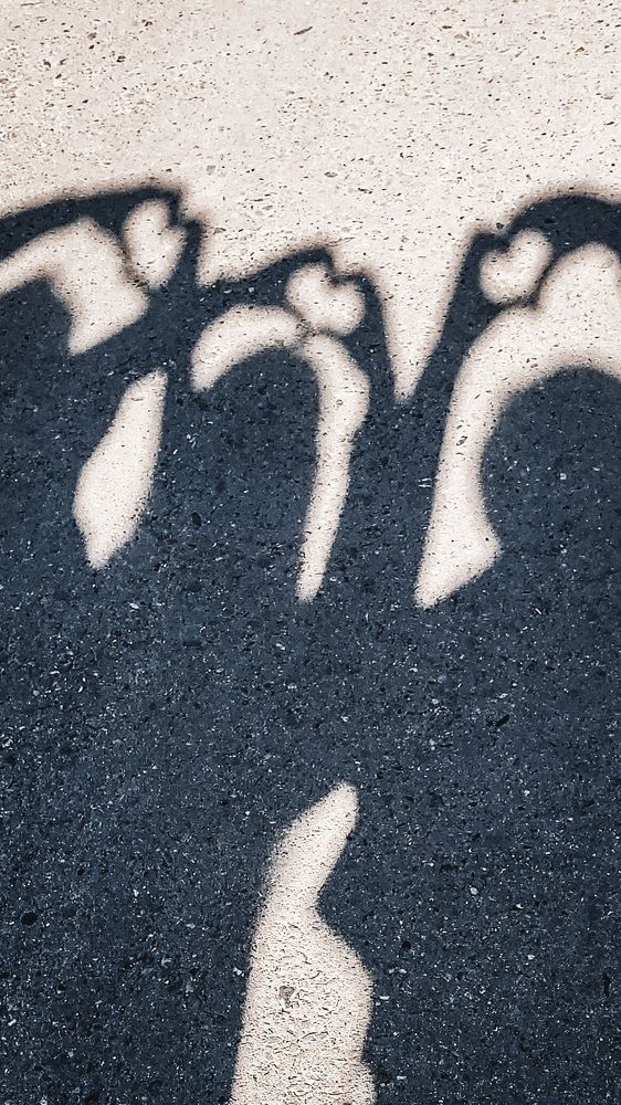 Photograph by Прохоров Денис