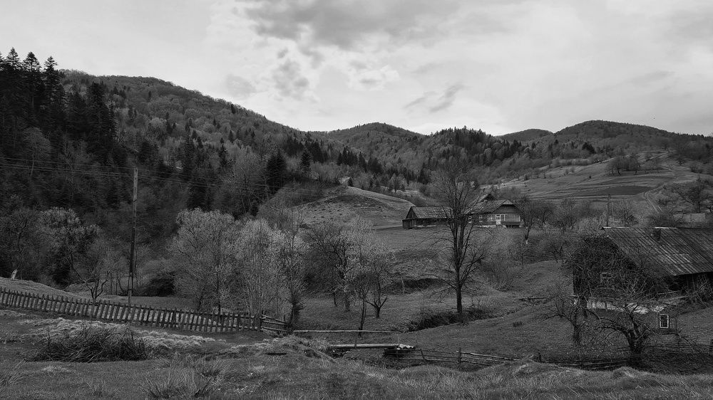 Photograph by Андрей Телибаев