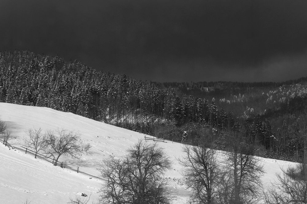 Photograph by Андрей Телибаев