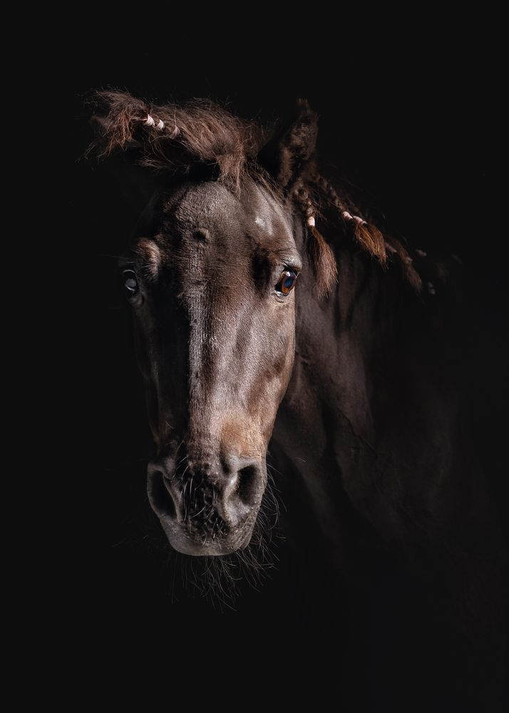 Photograph by Kasia Kapała