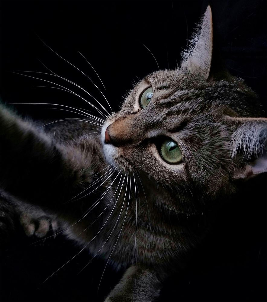 Photograph by Алексей