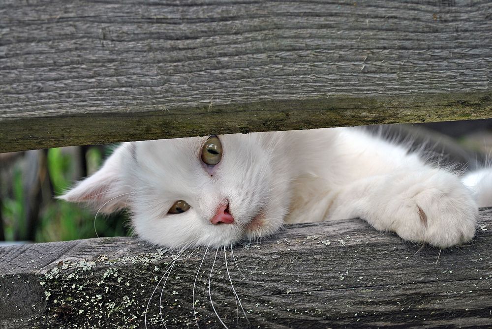 Photograph by Алексей