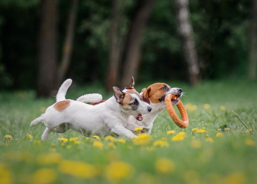 Photograph by Коптилина Галина