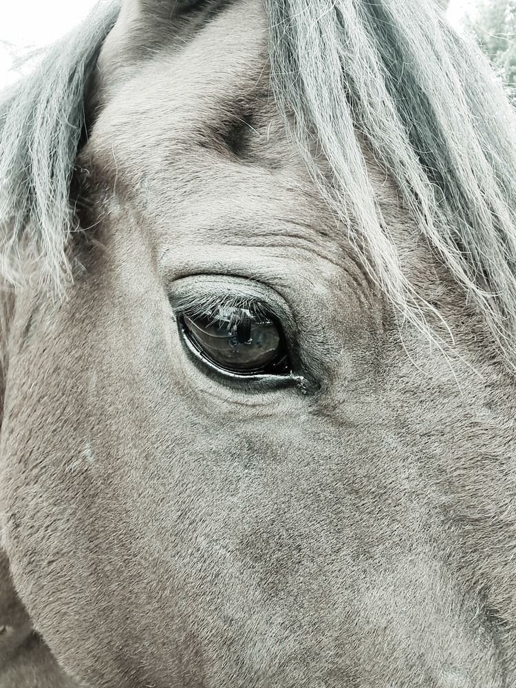 Photograph by Rita Duvenhage