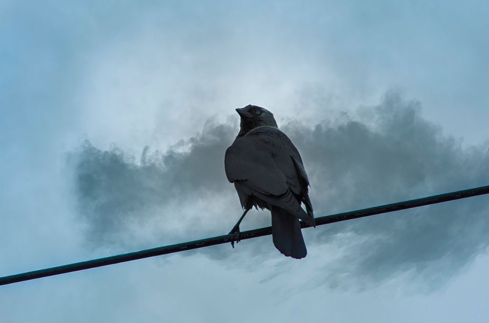 Фотография автора Дмитрий Нефёдов