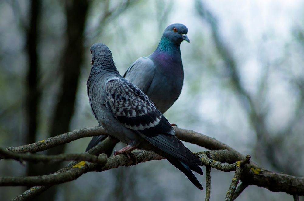 Фотография автора Дмитрий Нефёдов