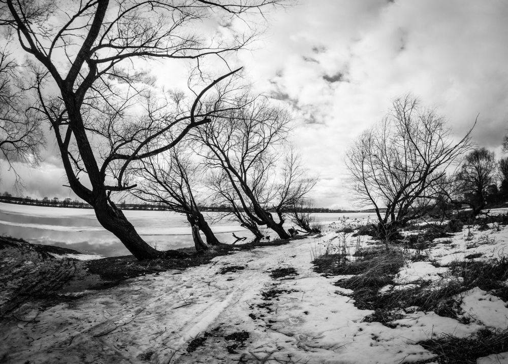 Photograph by Николай Астанин