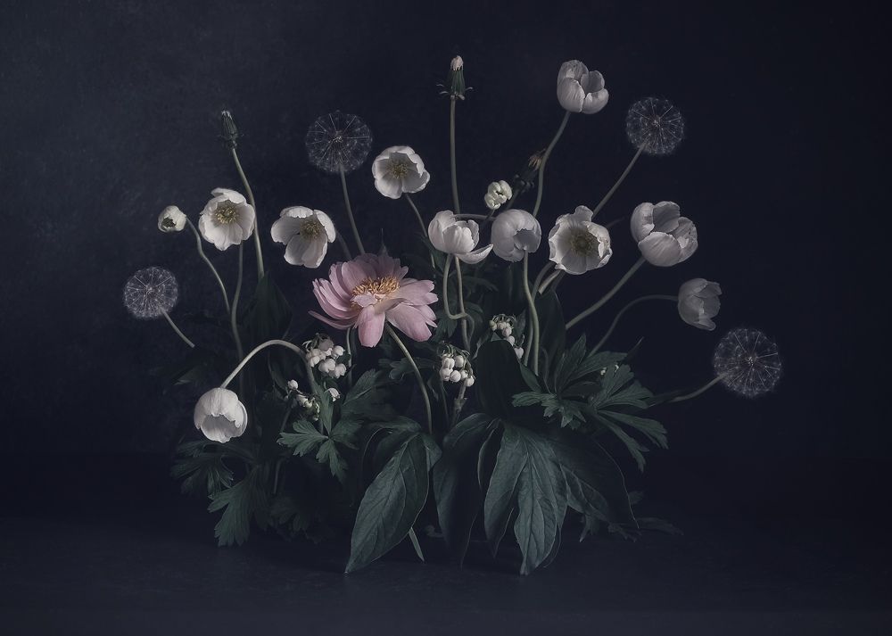 Фотография автора Виктория Шаманова