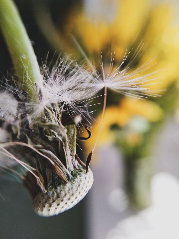 Photograph by Надежда Раскина