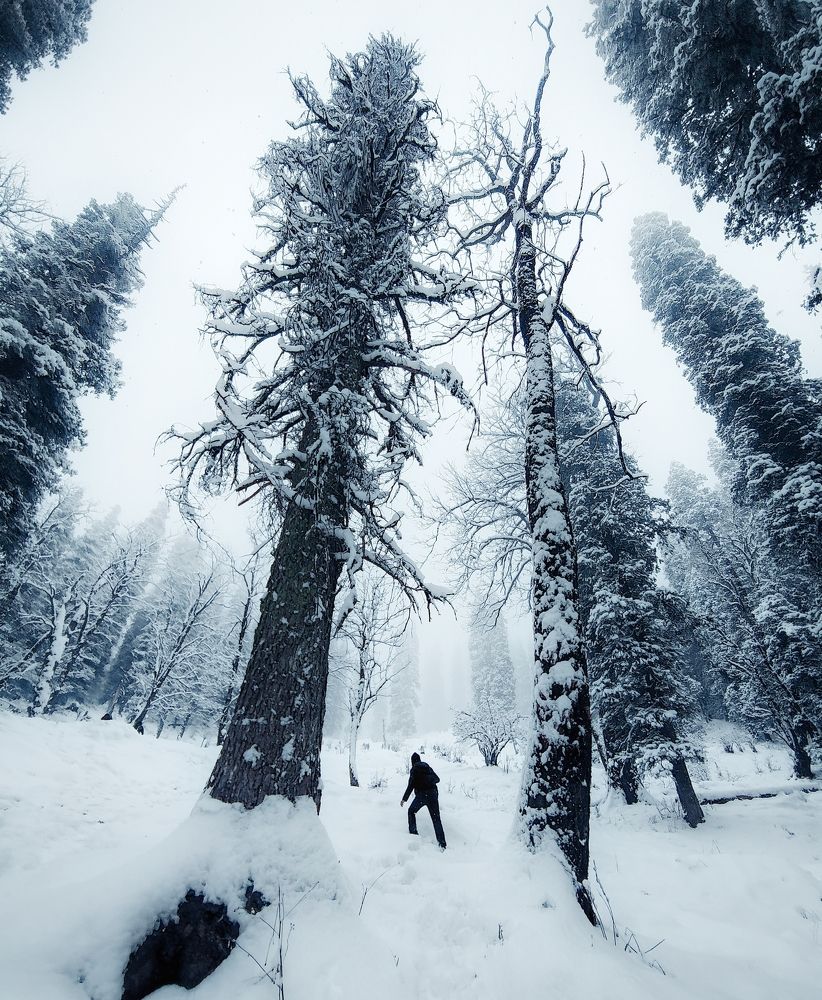 Photograph by Rohit Tandon