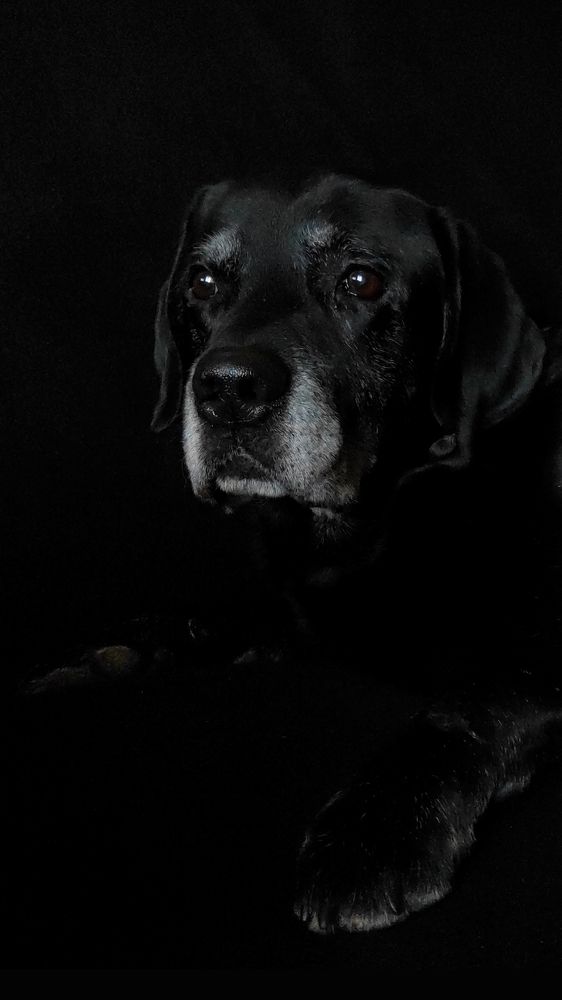 Photograph by Шевченко Алёна