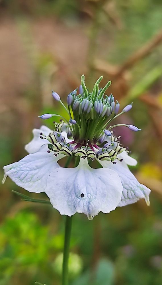 Photograph by Шевченко Алёна