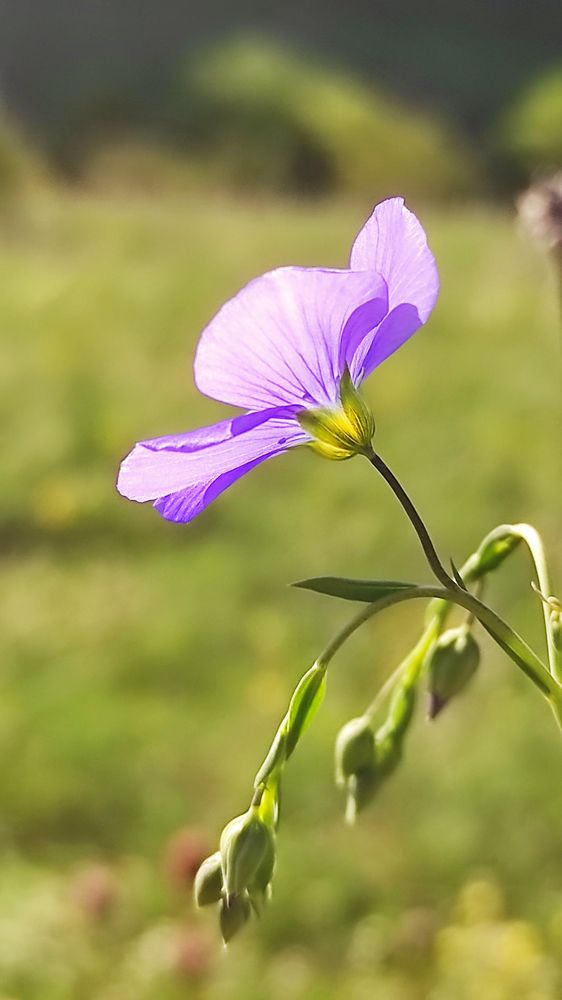 Photograph by Шевченко Алёна