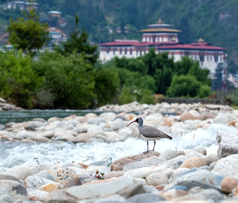 Photograph by Chencho Wangdi
