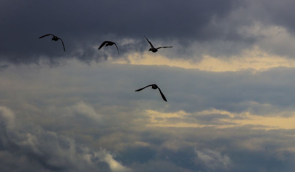 Photograph by Маргарита